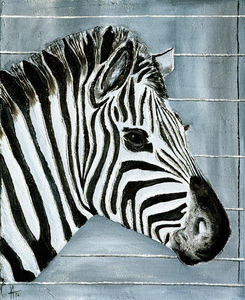 Reliefzebra von Arthelga