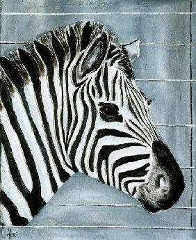 Reliefzebra 2006