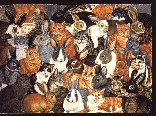 Rabbitcats  von Ditz