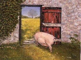 The Ware Farm Pig