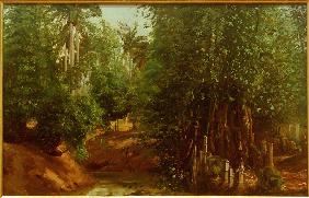 Urwald 1851