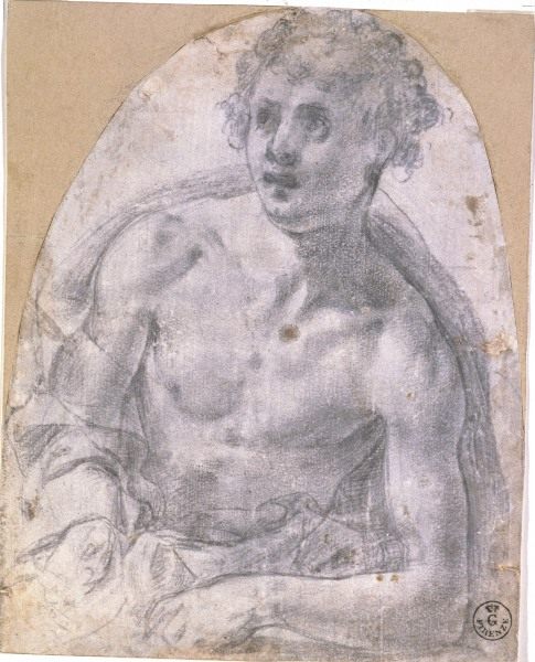 A.Bronzino /Study for St.Sebastian/Draw. von Agnolo Bronzino