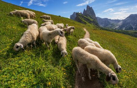 Auf dem Weg ins Geislergebirge