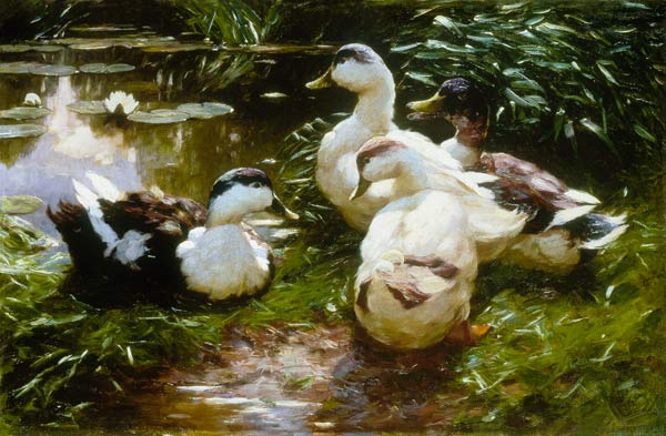 Enten am Seerosenteich. von Alexander Koester