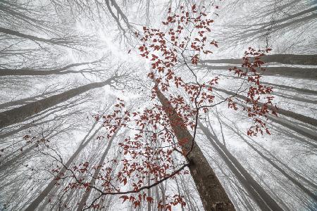 Ein Hauch von Herbst