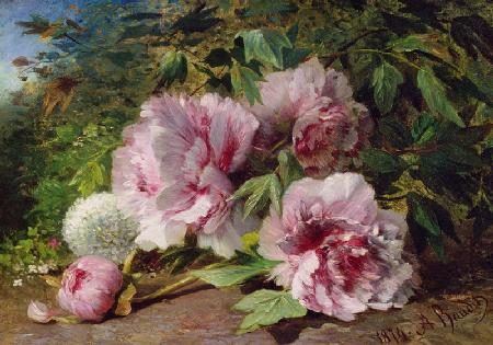 Study of Peonies 1874