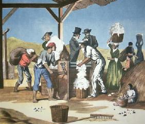 Eli Whitney's (1765-1825) Cotton Gin, operated by black slaves, 1793 (colour litho) 20th