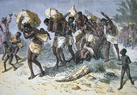 A captured slave gang of Coimbra, a Portuguese mulatto slaver of Bihe, Angola (coloured engraving) 0081