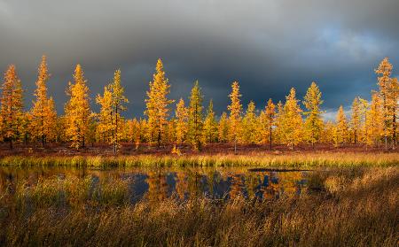 Sibirischer Herbst