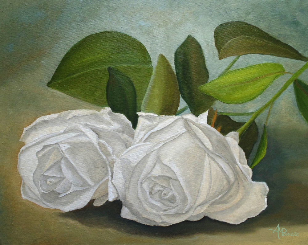 Weiße Rosen von Angeles M. Pomata