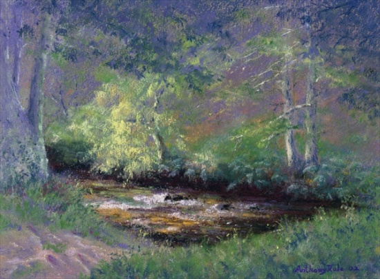 Forest Stream von Anthony  Rule