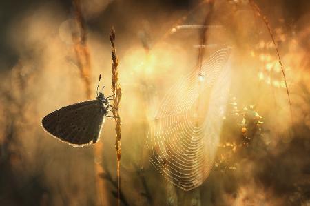 Sonniger Tag