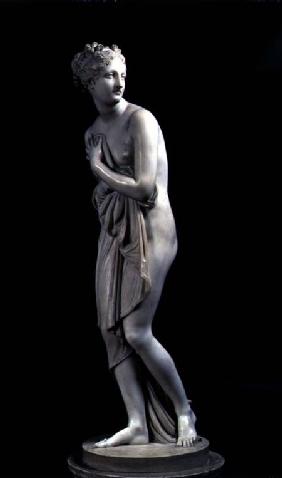 Venus, lateral view 1810