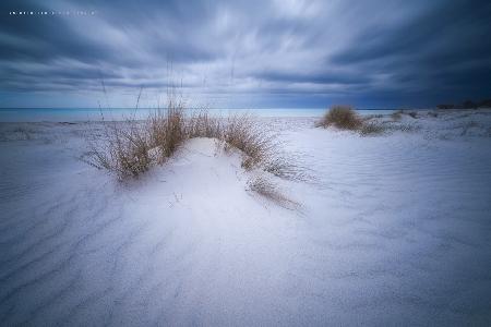 Strandweiß