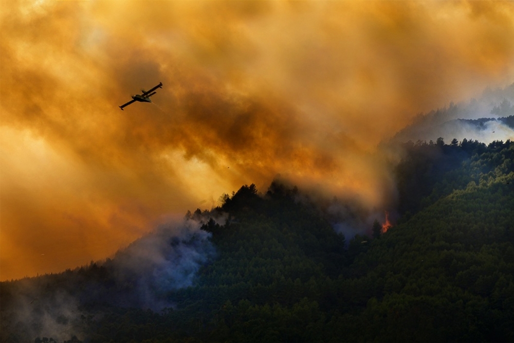 Feuer im Nationalpark Cilento – Italien von Antonio Grambone