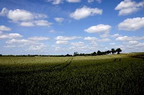 Licht und Schatten in Mecklenburg-Vorpommern