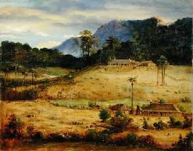 Homesteads c.1850