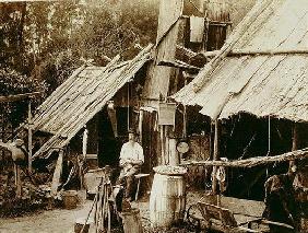 Australian prospector, c.1880s (sepia photo) 1835