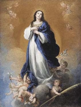 The Immaculate Conception