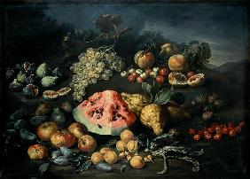 Still Life 1648-1725