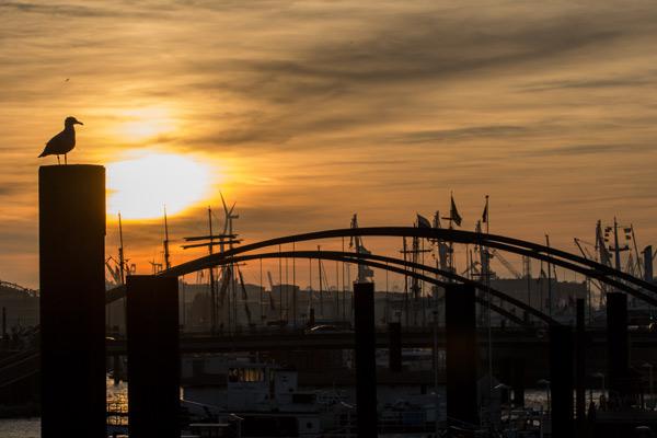 Moewe Hafen (Hamburg) 2015