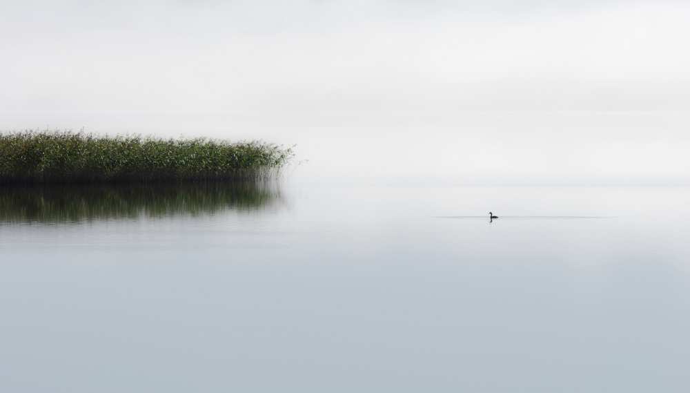 The lone fisher von Bjorn Emanuelson
