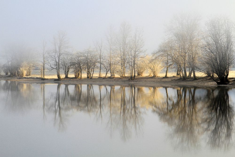 Januar Morgen von Bor