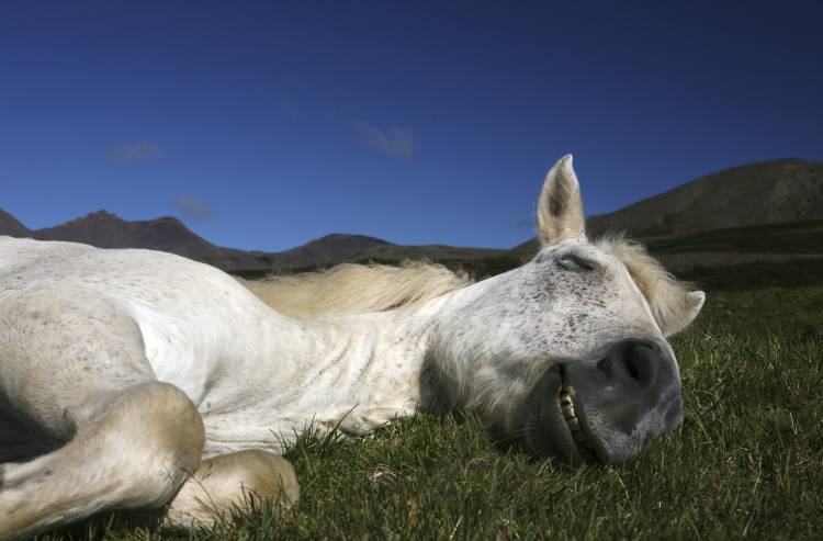 Sleeping Beauty von Bragi Ingibergsson