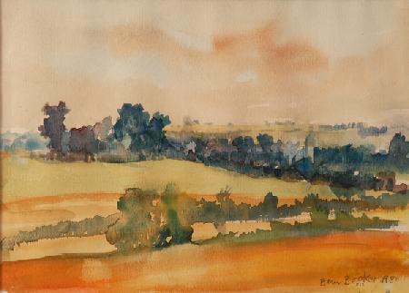 Ripening Fields 1980