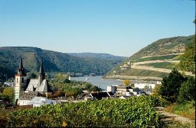 Bingen