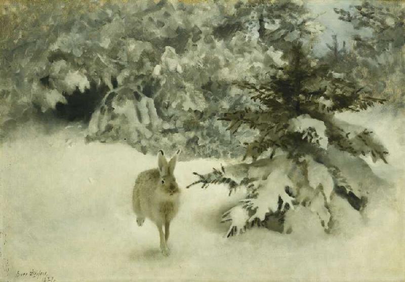Ein Hase im Schnee von Bruno Andreas Liljefors