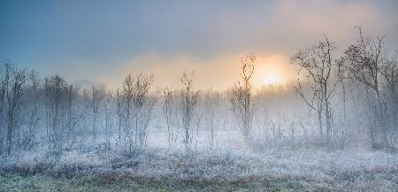 ein Hauch von Winter