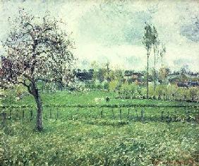 Meadow at Eragny 1885