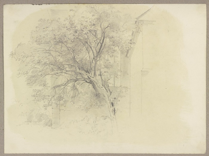 Baum, dahinter eine Kirche von Carl Theodor Reiffenstein