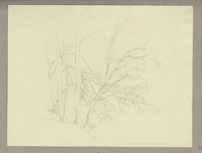 Baumgruppe am steilen Hang von Carl Theodor Reiffenstein