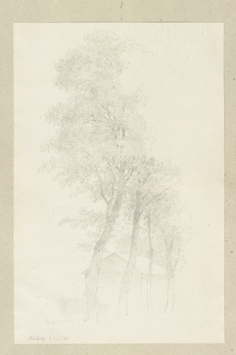 Ein Schuppen hinter einer Baumreihe bei Bertrich von Carl Theodor Reiffenstein