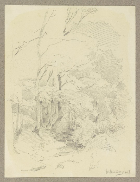 Waldpartie, von einem Bach durchflossen von Carl Theodor Reiffenstein