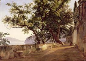 Garden of the Capuchin Friars, near Sorrento, 1827 (oil on canvas) 1910