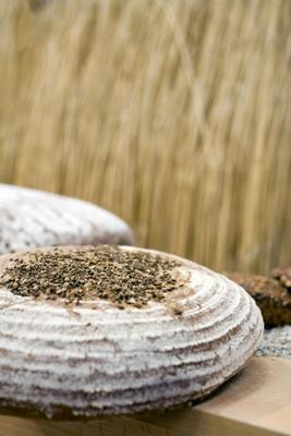 Brot vor Weizenfeld