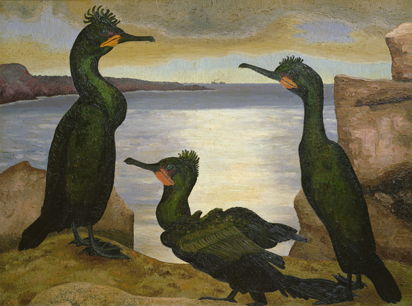 Shags von Cedric Morris