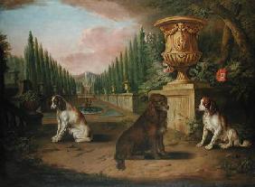 Three Spaniels in a formal garden c.1730