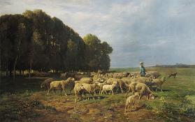 Flock of Sheep in a Landscape