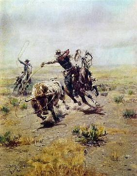 Cowboy Roping a Steer