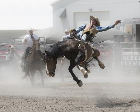 Reiten ohne Sattel