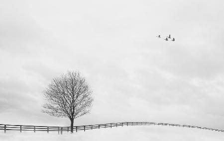 Das Feld nach dem Schnee