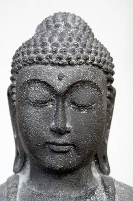 Buddha Portrait