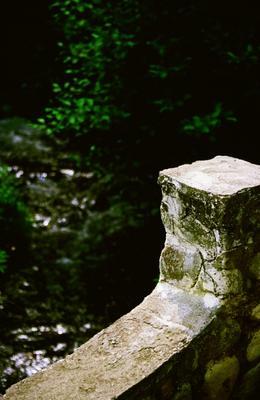 brücke im wald