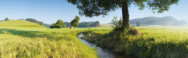 Wald4tel-Panorama von Christian Lehner