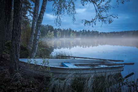 Nebelsee