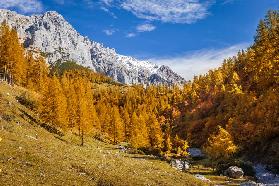 Wanderweg zwischen Neustattalm und Bachlalm an der der Dachstein 2017